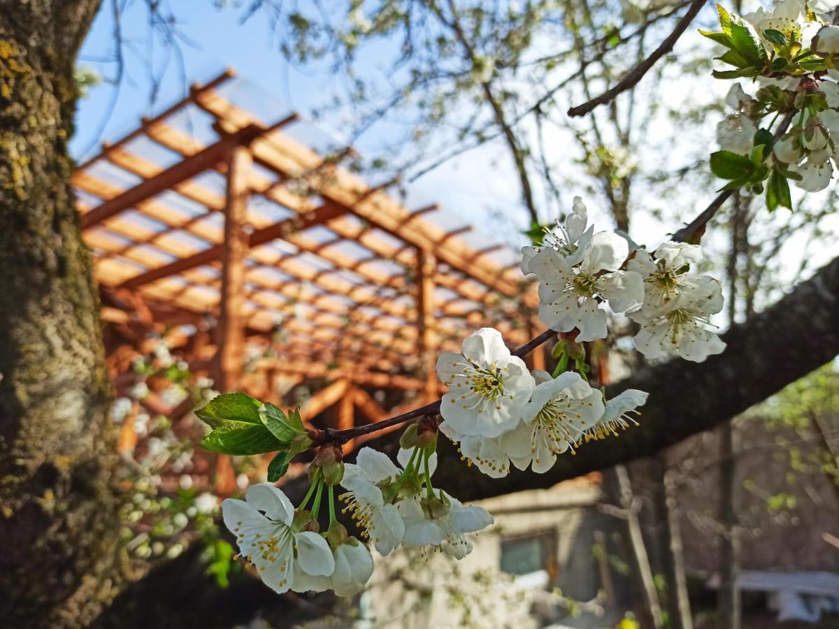 Jermatun Guest House Dilijan Exterior photo